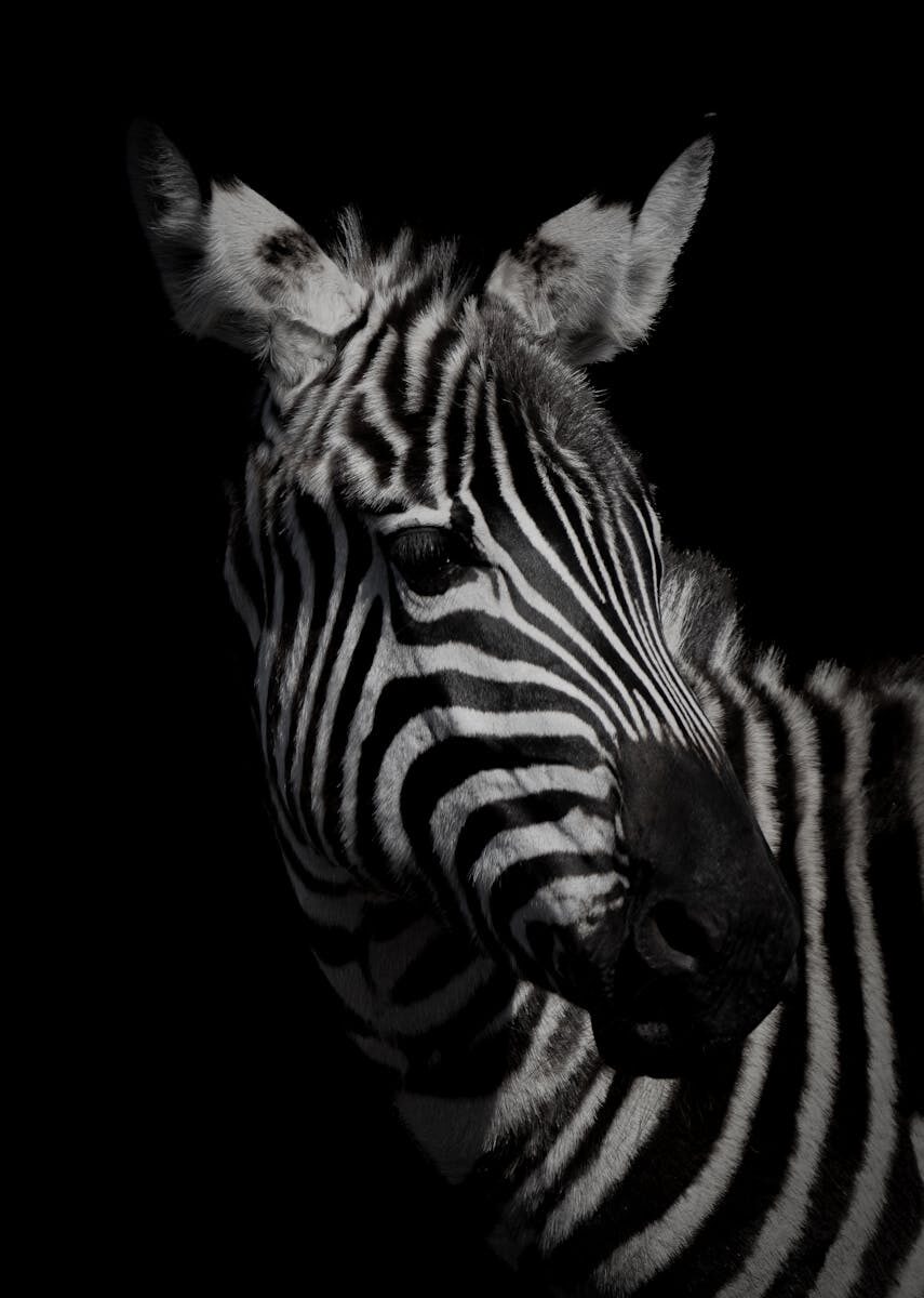 Judicial Restraint & Mootness