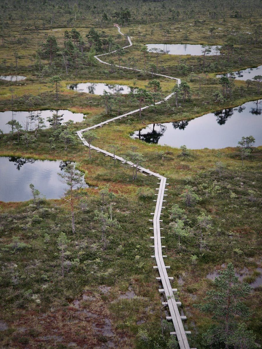 Political Question Doctrine