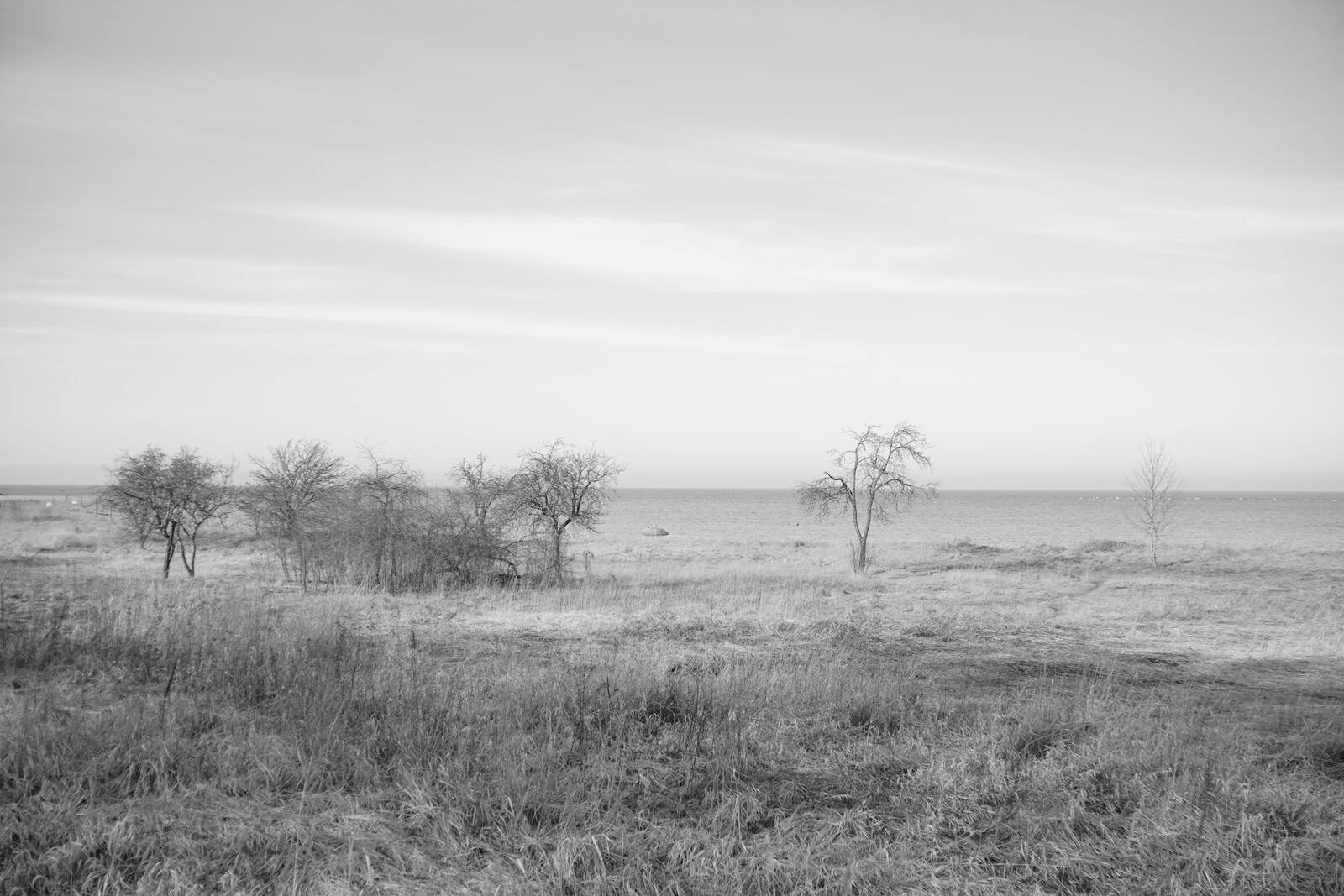 Mootness and Court Case Timing