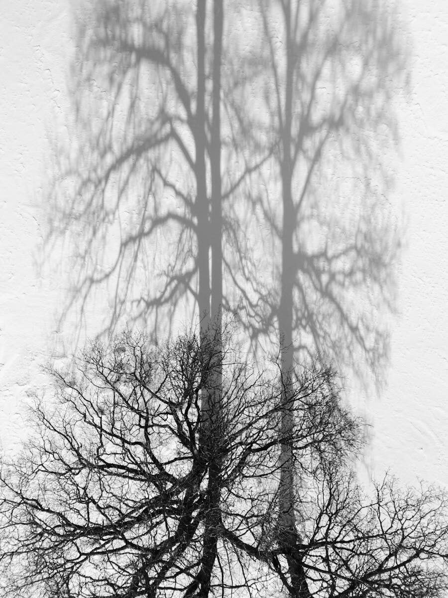 Legal Principles Derived from Doctrine