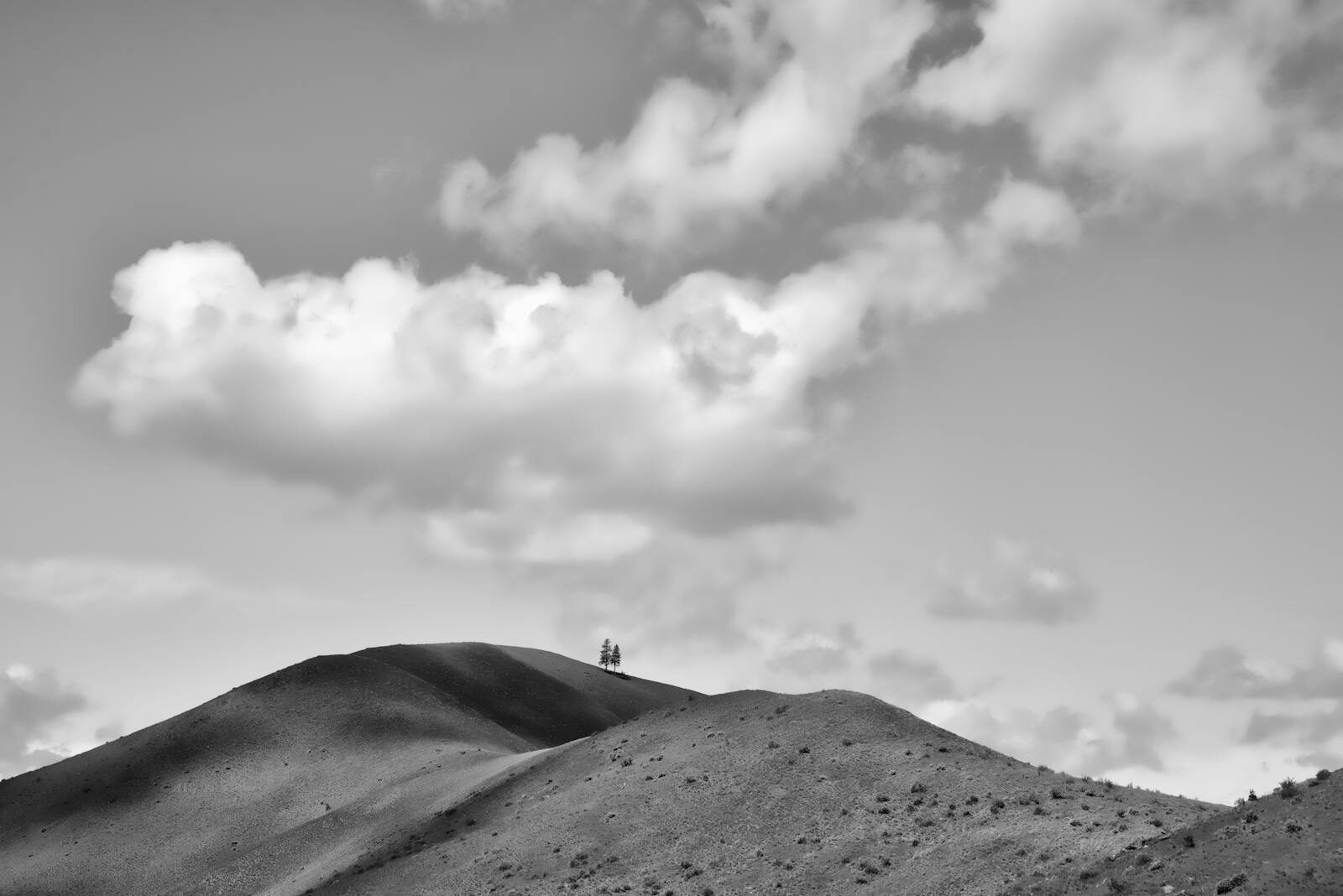 Limits on Judicial Review